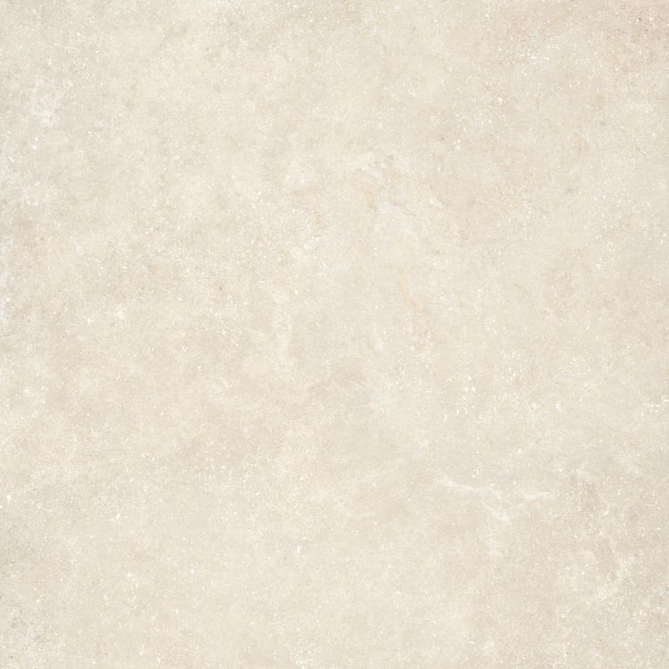 Untamed Wander Warm 48 x 48